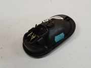 T?rinnengriff - Hinten Rechts Renault Scenic, II 2003.06 - 2006.06 5005500006,5005500006 8200028486