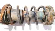 Fahrwerksfeder Hinterachse Honda Civic, 2001.01 - 2005.09 Gebraucht,