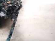 Innenausstattung Dacia Sandero, II 2012.03 --> 769357750r,