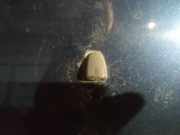 Waschwasserdüse Scheibenreinigung Volvo S80, 1998.05 - 2004.06 Gebraucht,