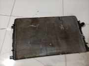Wasserkühler Volkswagen Passat, B6 2005.08 - 2010.11 Gebraucht, BXE