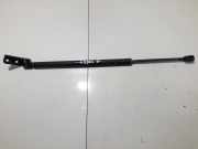 Gasdruckfeder Kofferraum Opel Frontera B, II 1998.10 - 2004.12 8971717280,