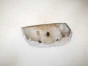 Au?enspiegelblende - Vorne Linke Kia Carens, 2006.09 - 2013.03 876081d050,87608-1d050