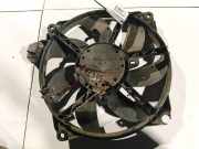 Kühlerlüfter Lüftermotor Renault Scenic, III 2009.02 - 2013.06 Gebraucht,