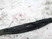 Windlauf Wischerabdeckung Ford Focus, 2004.11 - 2008.06 Gebraucht,