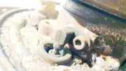 Sensor für ABS - Hinten Rechts Chevrolet Captiva, 2006.01 - 2011.06 Gebraucht,