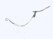 Servoleitung Leitung Servo Servoschlauch Schlauch Ford Galaxy, Mk I 1995.03 - 2000.04 Gebraucht,