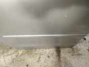 Zierleiste Tür Zier-Schutzleiste - Hinten Rechts Volkswagen Polo, IV 2005.04 - 2009.11 facelift Gebraucht, BMS