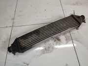 Ladeluftkühler Fiat Doblo, 2009.08 --> Gebraucht,