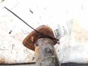 Stoßdämpferaufnahme Federbeinlager - Hinten Rechts Mercedes-Benz ML, W163 1998.02 - 2005.06 Gebraucht,