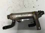 Abgaskühler AGR-Kühler Lancia Lybra, I 1999.01 - 2005.12 46810018,869894e