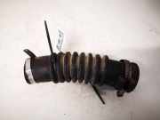 Schlauch für Luftversorgung Renault Master, II 2003.01 - 2010.01 facelift 239012180100,