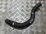 Kühlerschlauch Hyundai Trajet, 2000.03 - 2008.07 Gebraucht,