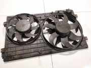 Kühlerlüfter Lüftermotor Volkswagen Golf Plus, 2005.01 - 2008.05 1k0121207bb, 13-55d300198 BLF