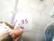 Motorabdeckung Volvo S80, 2006.03 - 2010.01 Gebraucht,