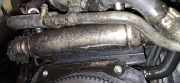 Abgaskühler AGR-Kühler Opel Signum, 2003.05 - 2008.06 Gebraucht,