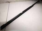 Zierleiste Leiste - Hinten Rechts Volkswagen Bora, 1998.01 - 2005.12 1j9839472d, ATD