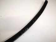 Zierleiste Leiste - Hinten Linke Audi Q7, 2006.03 - 2010.05 Gebraucht,