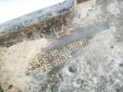 Unterfahrschutz Toyota Corolla Verso, II 2001.09 - 2004.05 5839813070,58398-13070