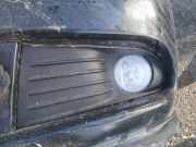 Kühlergrill - Vorne Linke Dodge Journey. 2009.01 - 2014.12 Gebraucht,