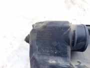 Luftfilterkasten Renault Scenic, II 2003.06 - 2006.06 8200369755, 8200369806