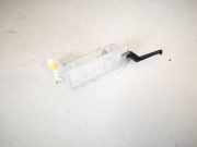 Innenraumleuchte Renault Laguna, II 2001.03 - 2006.05 8200024033,