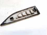 Zier-Schutzleiste Kotflügel - Vorne Linke Chevrolet Captiva, 2011.06 --> 95027406,