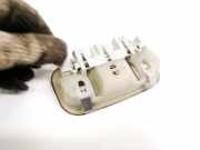 Innenraumleuchte Citroen C3, I 2002.02 - 2005.06 PBTPGF302,