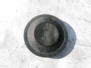 Blende Scheinwerfer - Vorne Renault Scenic, II 2003.06 - 2006.06 153874,