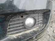 Kühlergrill - Vorne Linke Mercedes-Benz A-CLASS, W169, 2004.09 - 2008.09 Gebraucht,