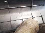 Innenausstattung Toyota Verso, 2009.04 - 2018 679140f020, 67914-0f020