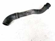 Intercooler Schlauch Lancia Zeta 1995 - 2002 1484102080,