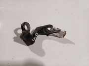 T?rscharnier Hinten Ford C-MAX, 2003.01 - 2007.06 Gebraucht,