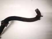 Kühlerschlauch Dodge Caliber, 2006.08 - 2009.01 Gebraucht,