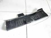Zierleiste Peugeot 307, 2000.08 - 2005.06 9632752077,9632752077