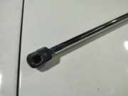 Gasfeder f?r Motorhaube Opel Signum, 2003.05 - 2008.06 Gebraucht,