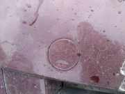 Abdeckung Abschlepphaken - Vorne Opel Meriva, A 2002.12 - 2006.01 Gebraucht,