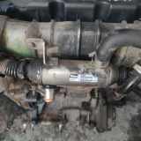 Abgaskühler AGR-Kühler Peugeot 307, 2000.08 - 2005.06 9639874380,xs1115 869922r