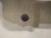 Waschwasserdüse Scheibenreinigung Opel Omega, B 1994.03 - 1999.09 Gebraucht,