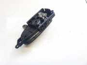 T?rinnengriff - Hinten Rechts Nissan Leaf, I 2010 - 2017.12 Gebraucht,