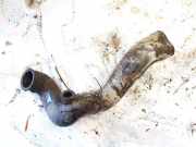 Intercooler Schlauch Seat Arosa 1997 - 2004 Gebraucht,