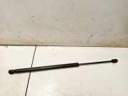 Gasdruckfeder Kofferraum Renault Scenic, II 2003.06 - 2006.06 8200377199,