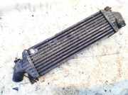 Ladeluftkühler Nissan Primera, P12 2002.01 - 2008.12 14461aw300,b9237
