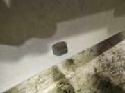 Waschwasserdüse Scheibenreinigung Fiat Ulysse, I 1994.01 - 2002.06 Gebraucht,