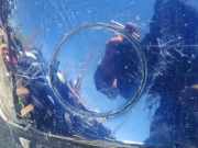 Abdeckung Abschlepphaken - Hinten Toyota Avensis Verso, 2001.08 - 2009.11 Gebraucht,