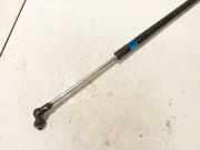 Gasdruckfeder Kofferraum Subaru Outback, IV 2009.06 - 2014.12 Gebraucht,
