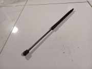 Gasfeder für Motorhaube Skoda Fabia, II 5J 2007.01 - 2010.06 2206YG0440N, 2206YG 0440N 275 07 BH14 27507BH14