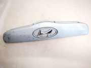 Kennzeichenleuchte Hyundai Getz, 2002.08 - 2009.06 Gebraucht,