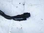 Tankeinfüllstutzen Tankrohr Kraftstoffrohr Kia Carens, 2006.09 - 2013.03 Gebraucht,