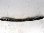 Windlauf Wischerabdeckung Peugeot 307, 2000.08 - 2005.06 9638958780e,